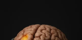 Psychologia uzależnień – dlaczego mózg kocha powtarzalność?